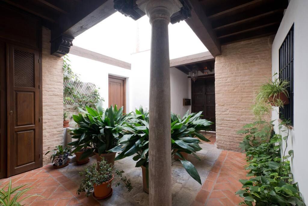 Central, Near The Alhambra, Quiet And Autentic! Apartamento Granada