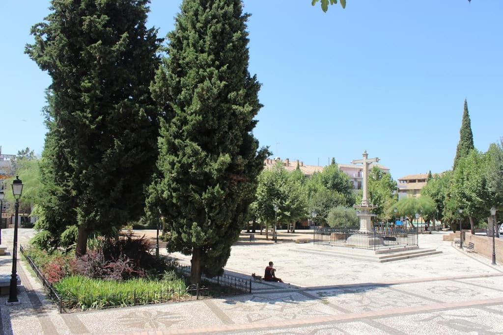 Central, Near The Alhambra, Quiet And Autentic! * Granada
